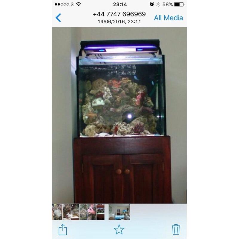 Marine fish tank weir sump