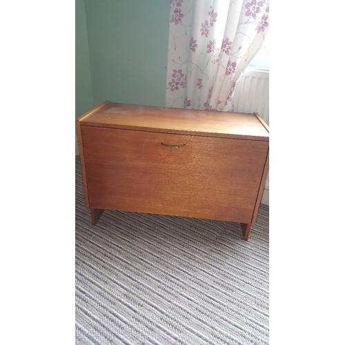 Carpenter built record and cd storage unit