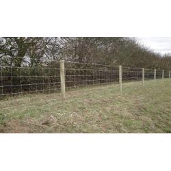 Fencing Services