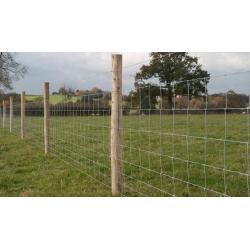 Fencing Services