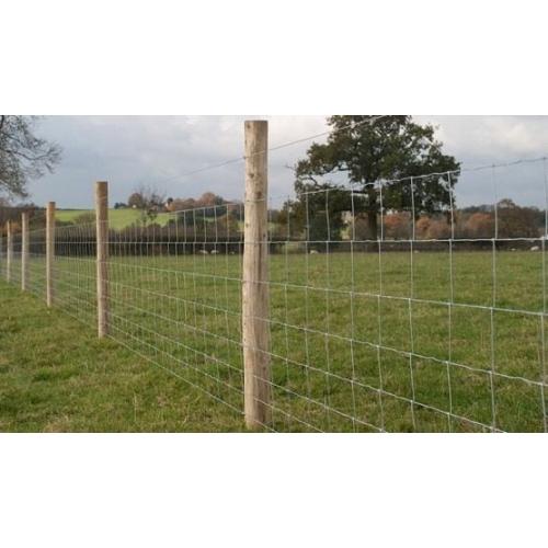 Fencing Services