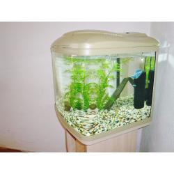 BOW FRONTED FISH TANK WITH STAND