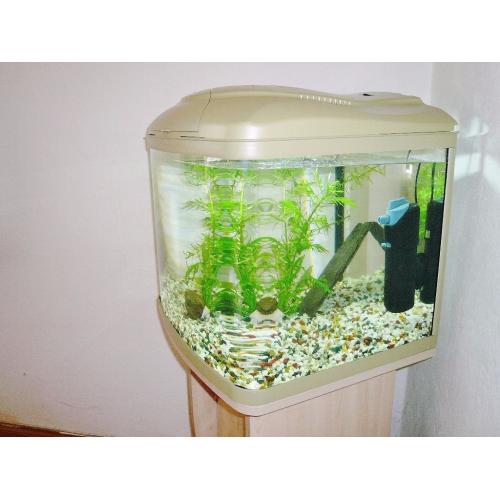 BOW FRONTED FISH TANK WITH STAND