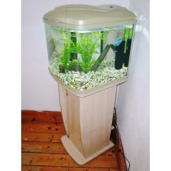 BOW FRONTED FISH TANK WITH STAND