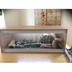 Reptile tank