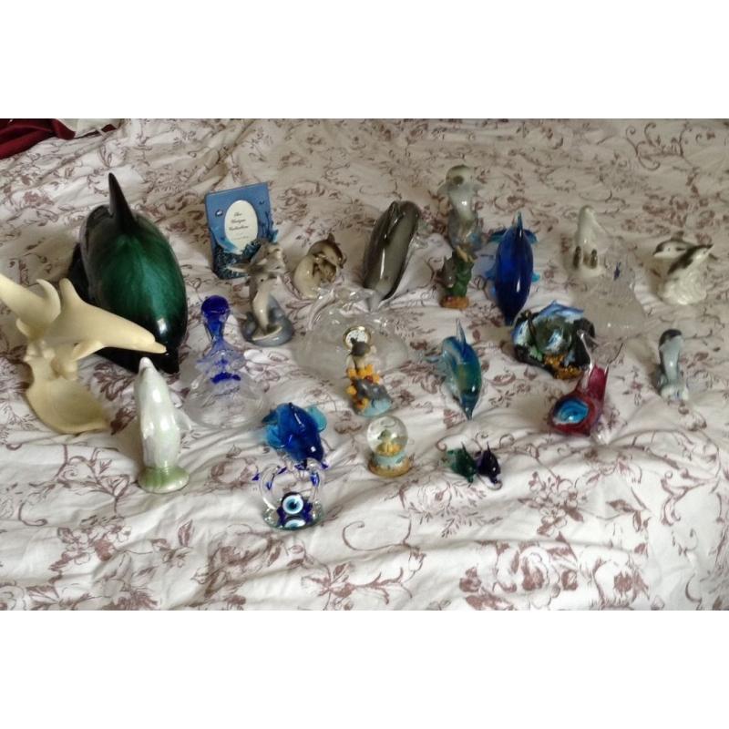 Dolphins