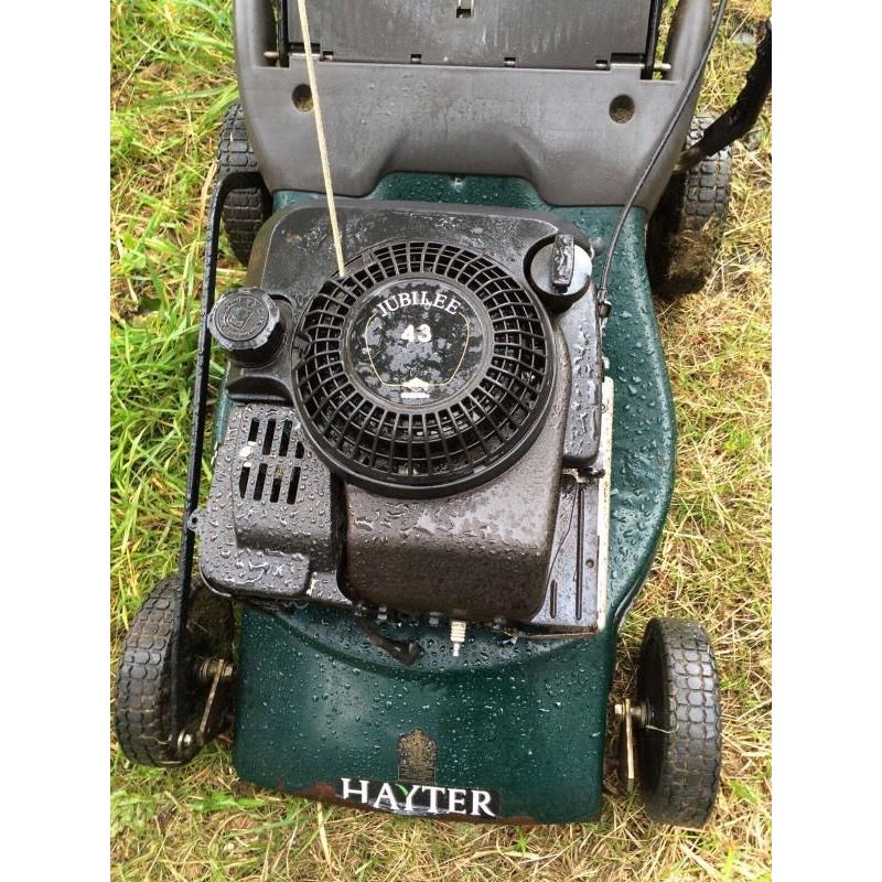 Hayter Jubilee 43 Petrol Mower