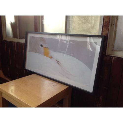 Large picture