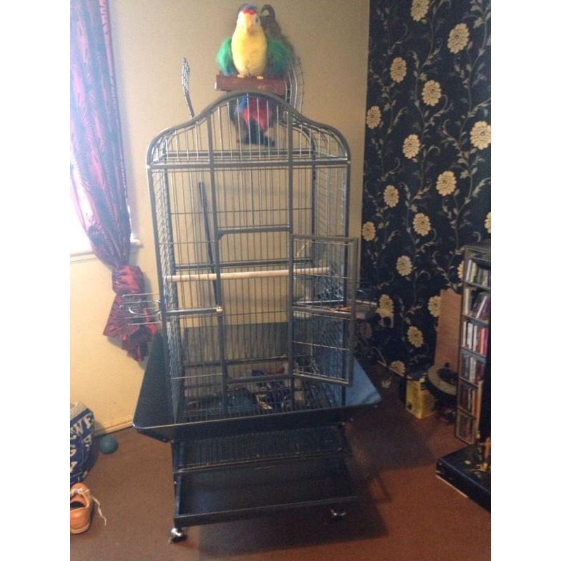 Parrot cage 5ft