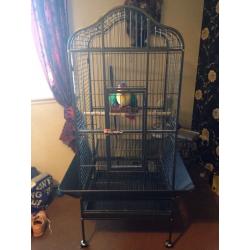 Parrot cage 5ft