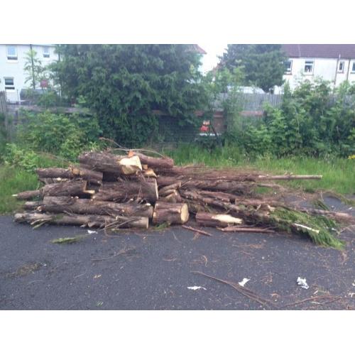 FREE FIREWOOD