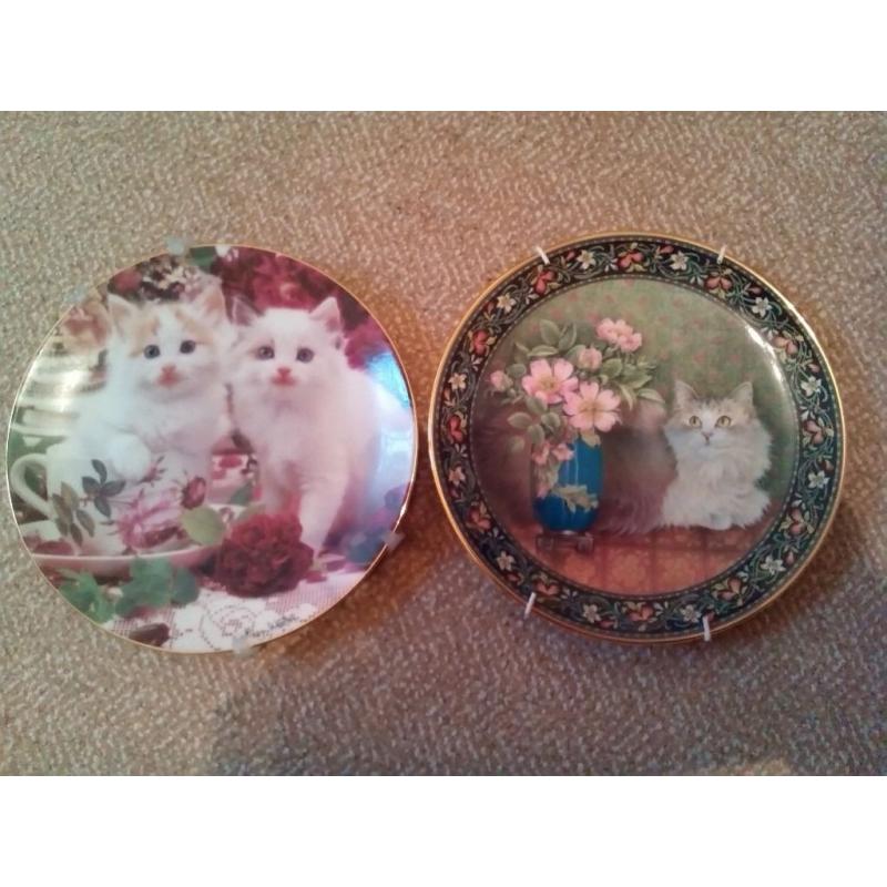 2 decorative plates of cats. Ex condition