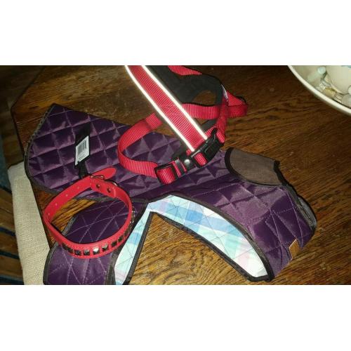 Dog harness,coat ,collar