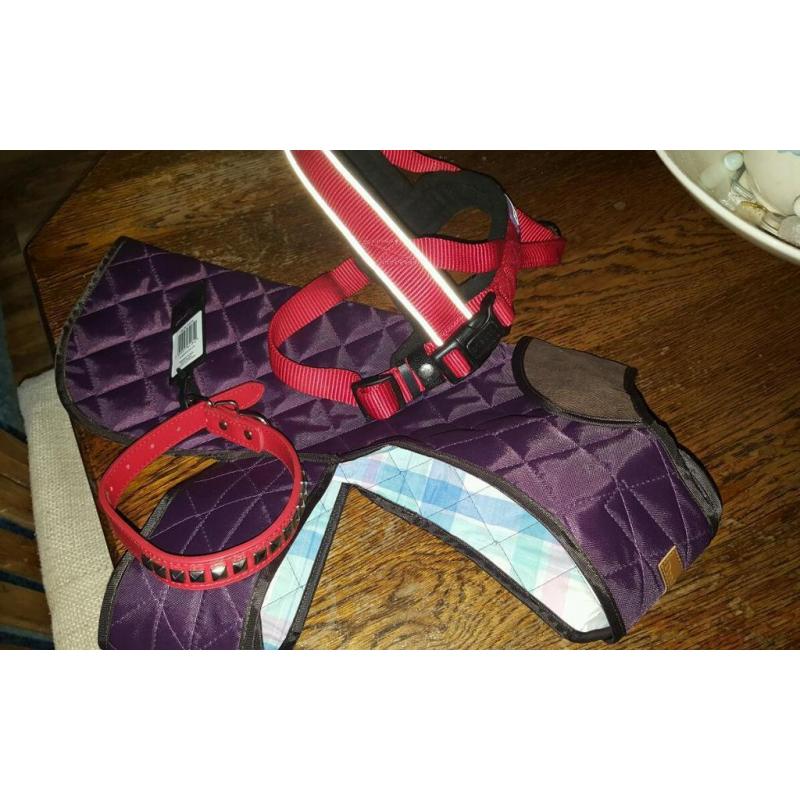Dog harness,coat ,collar