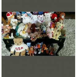 Ty teddies
