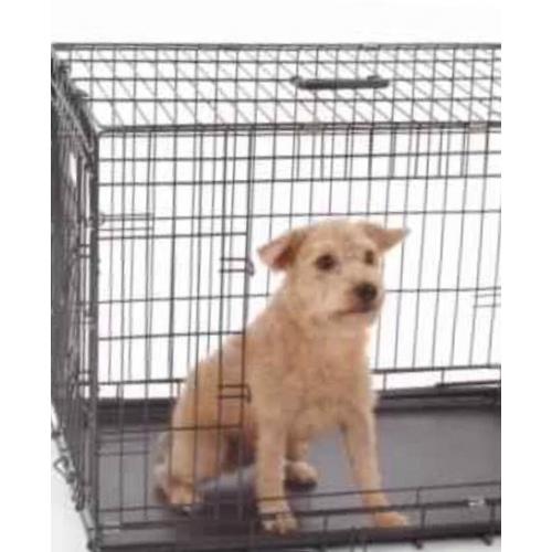 Dog Cages - Various Sizes