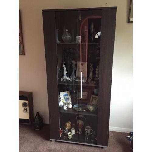 Large shelving storage glass unit