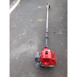 Efco long reach chainsaw pruner