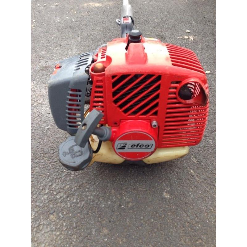 Efco long reach chainsaw pruner