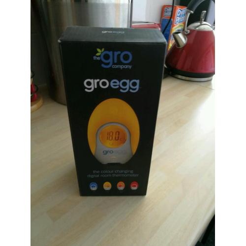 Baby gro egg thermometer