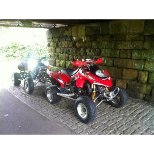 Gasgas wild 450 road legal quad (summer toy) animal
