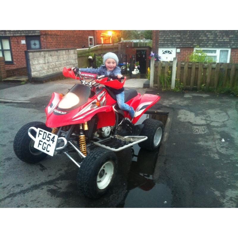 Gasgas wild 450 road legal quad (summer toy) animal