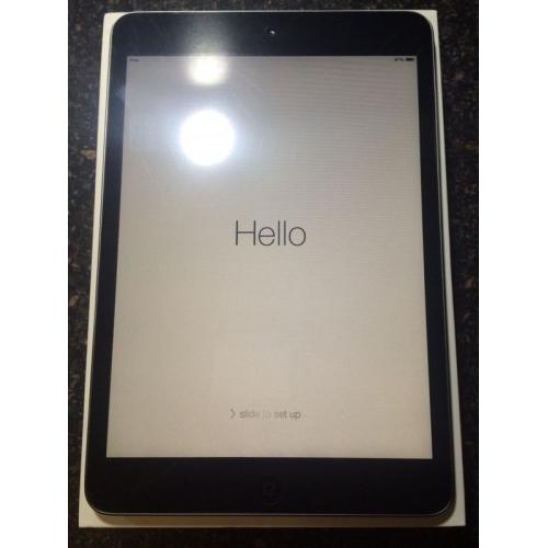 Apple iPad mini 1 Wifi 16gb