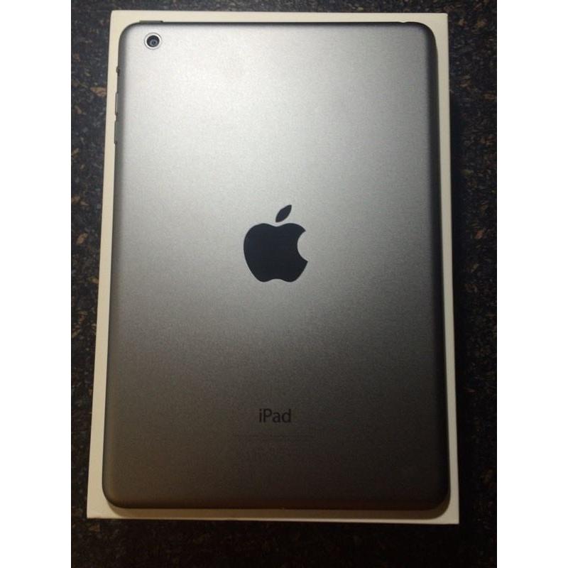 Apple iPad mini 1 Wifi 16gb