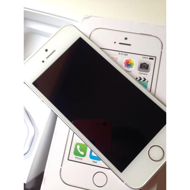iPhone 5s 32gb ( unlocked) any network