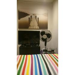 Flatmate required for double room to let in Balham/Tooting Bec in lovely 2 bed flat