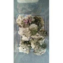 Marine live rock dried 28kg approx