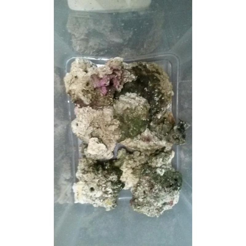 Marine live rock dried 28kg approx