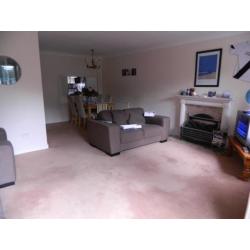 Nice Double Room