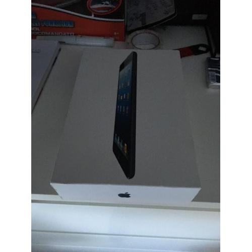 Black 16G iPad mini