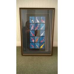 Koi trading cards - complete set of 14 framed