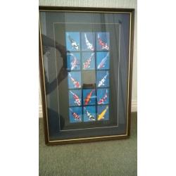 Koi trading cards - complete set of 14 framed