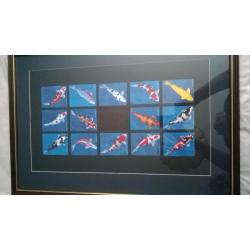 Koi trading cards - complete set of 14 framed