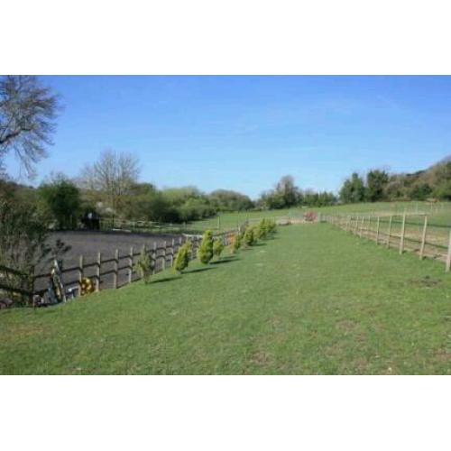 Looking for land/paddock/field in Dorset Hampshire or Surrey any size