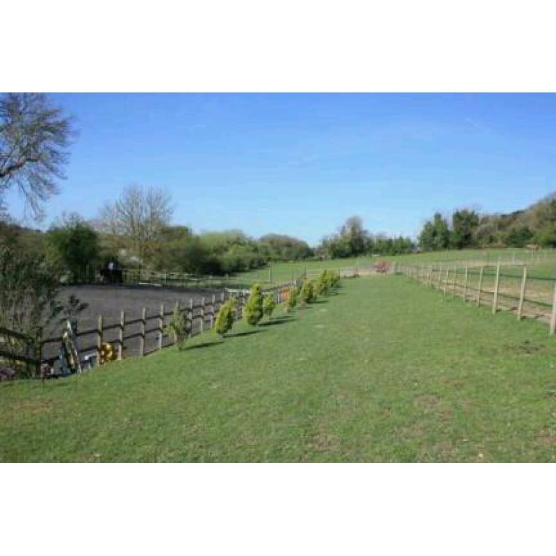 Looking for land/paddock/field in Dorset Hampshire or Surrey any size