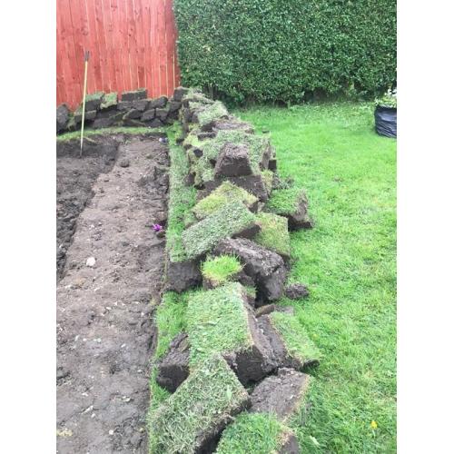 Turfs of grass