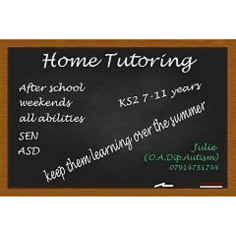 Home Tuition KS2 (7 - 11 years)