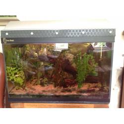 Well established Clear-seal tropical aquarium L60cm, W30cm, H38cm