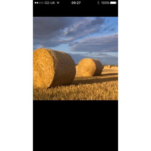 Straw