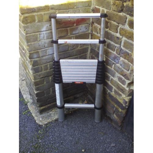 telescopic ladder telesteps professional