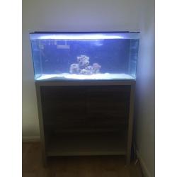 Marine set up