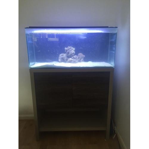Marine set up