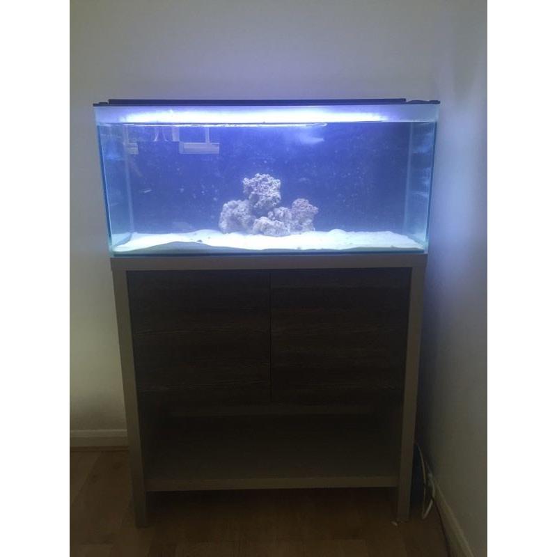 Marine set up
