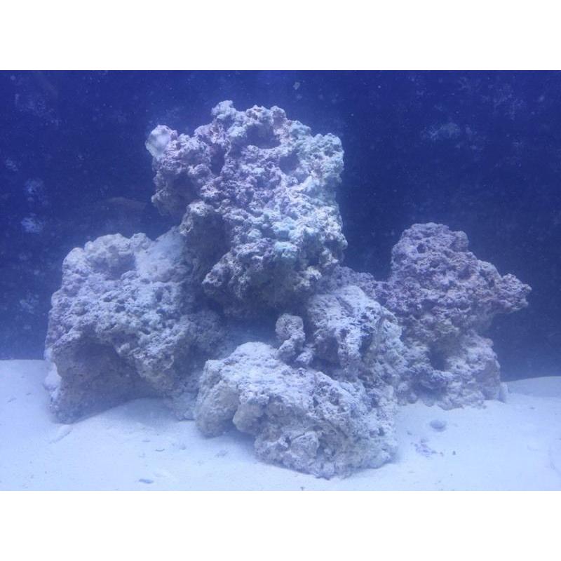 Marine set up