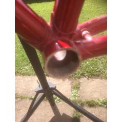 Colnago Frame