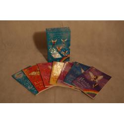 Rainbow Magic The Weather Fairies (Box Set)